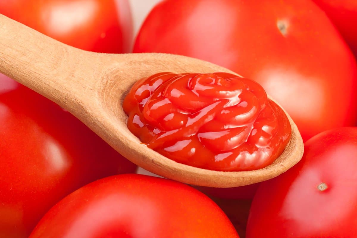 Plain tomato sauce