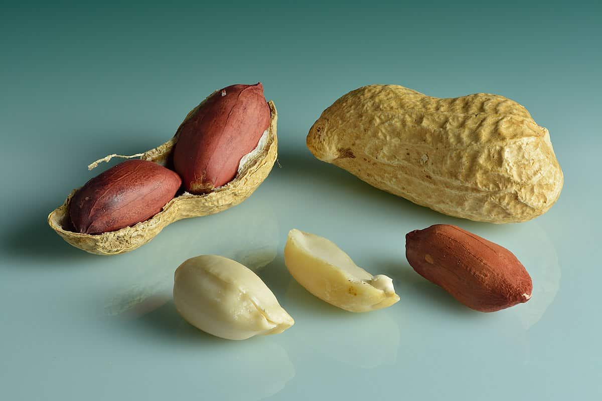 redskin peanuts nutrition