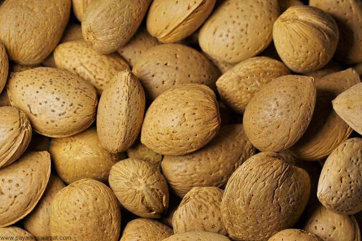 Raw almond benefits