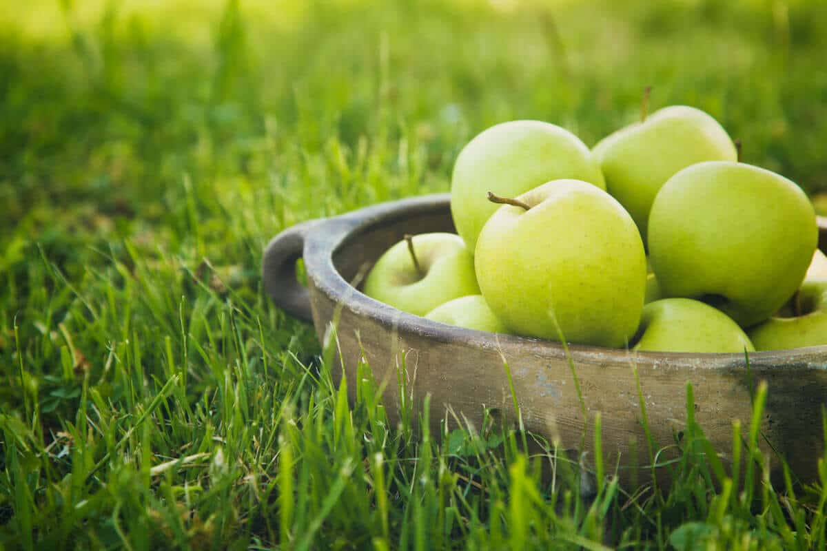 organic apples fruits
