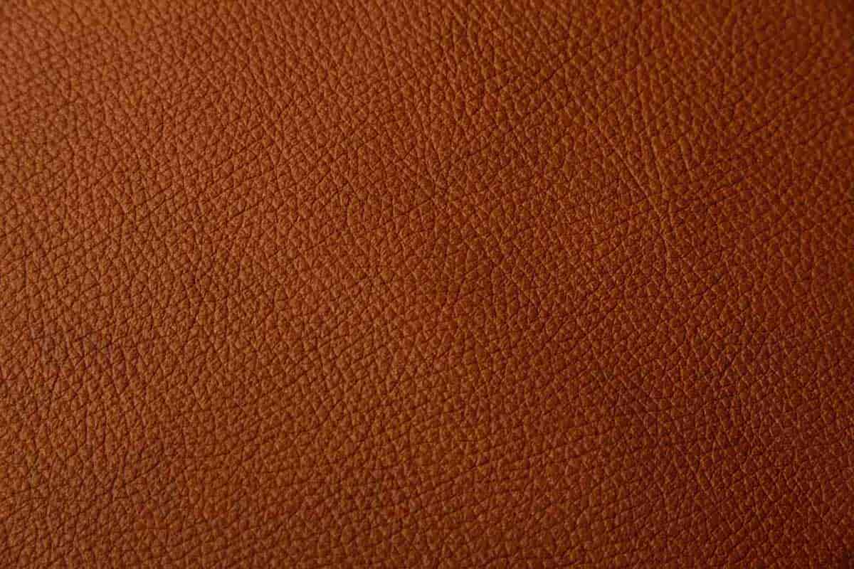 Buy the latest types of Camel Leather at a reasonable price - Arad Branding