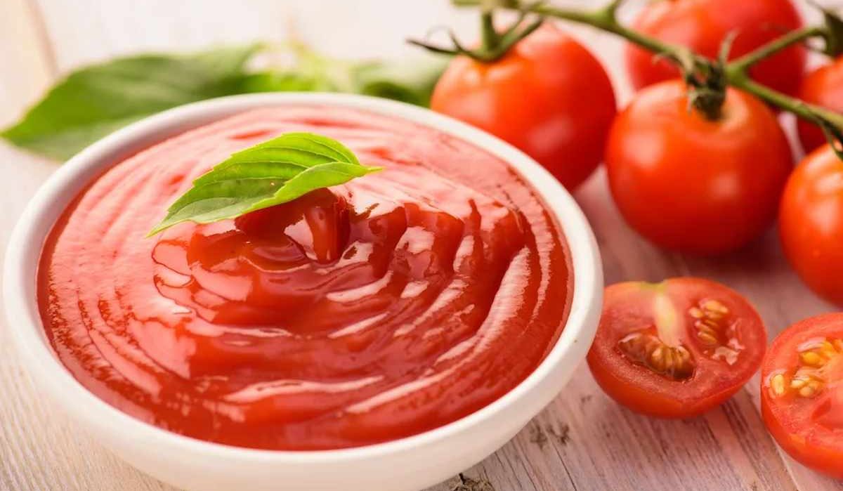 Industrial tomato sauce manufacturing