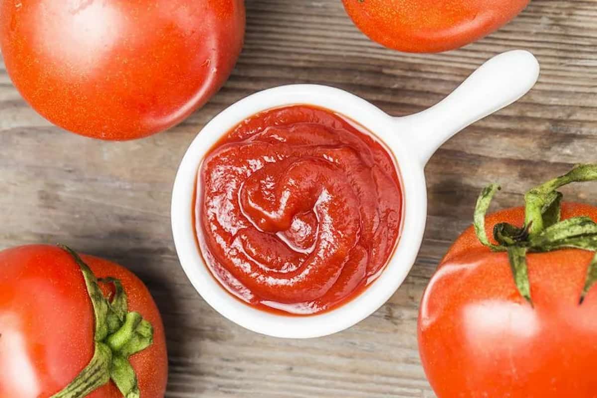tomato paste business plan