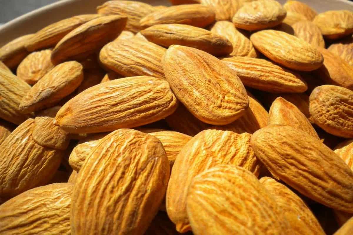 California Almond India