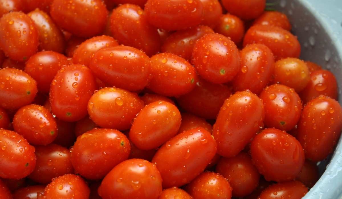 Grape tomatoes nutrition facts