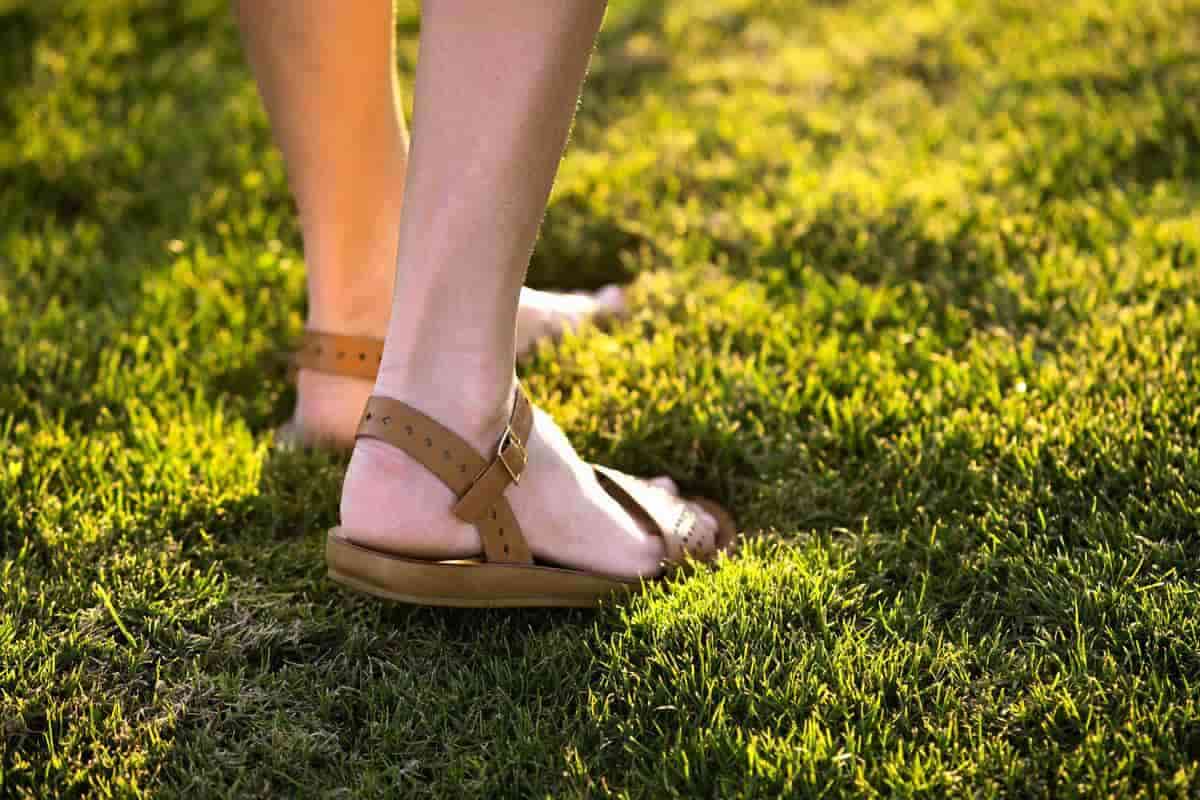 What are the Different Types of Sandals? | TOMS-sgquangbinhtourist.com.vn