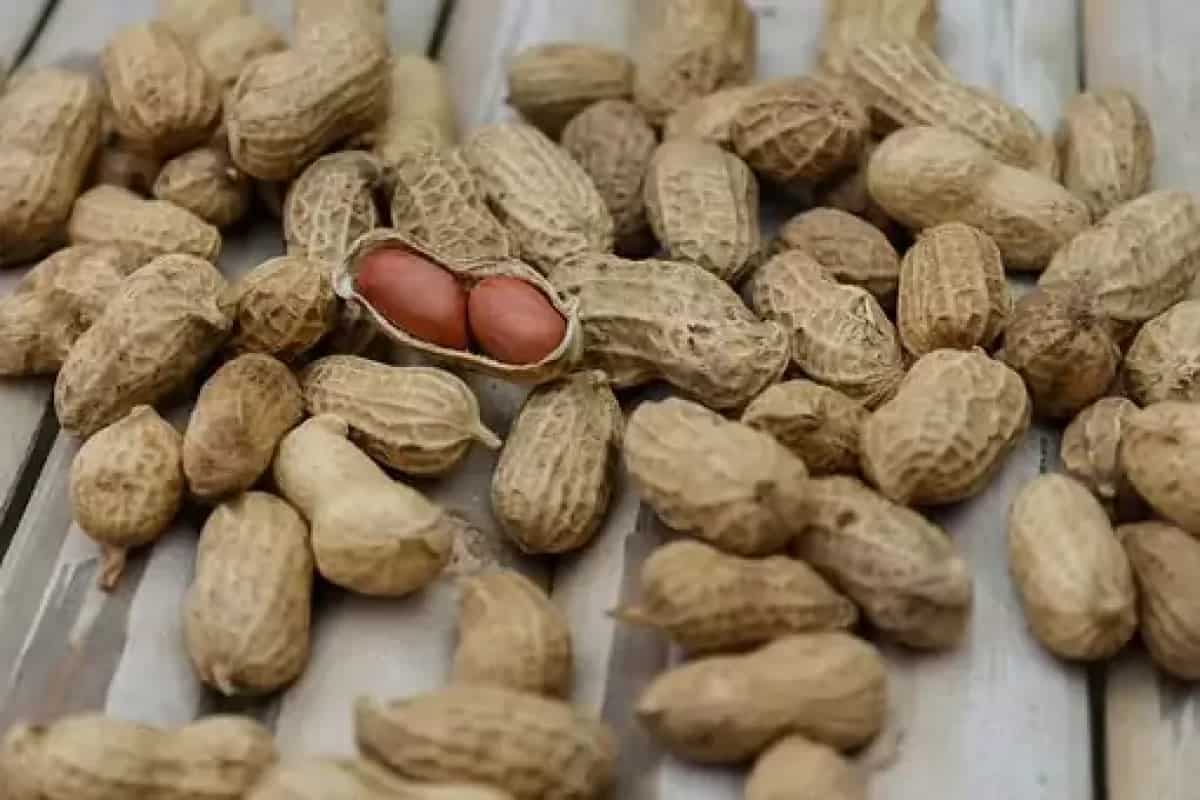 effects of peanuts on males