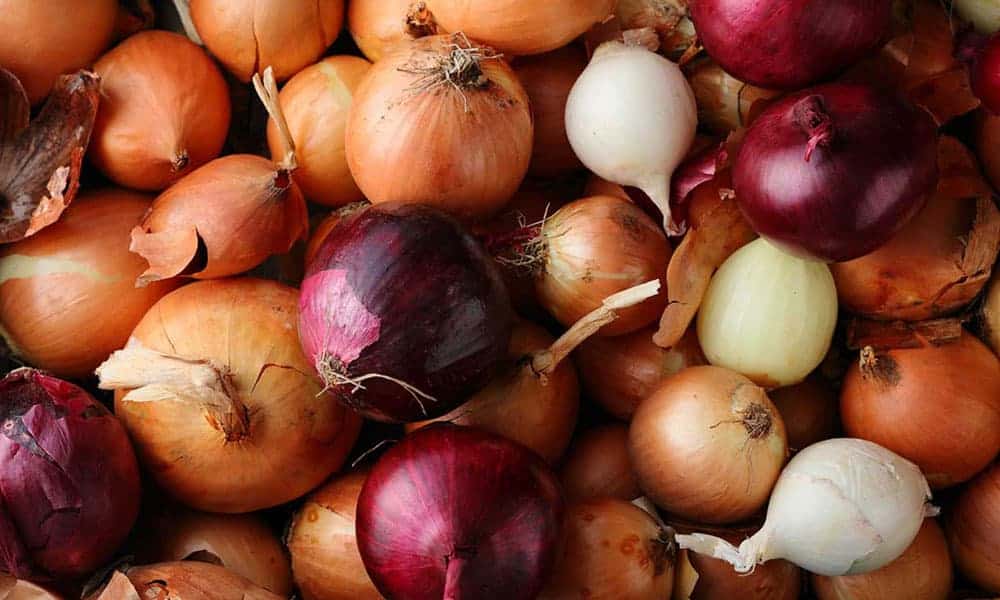 How to Dehydrate Onions for Food Storage
