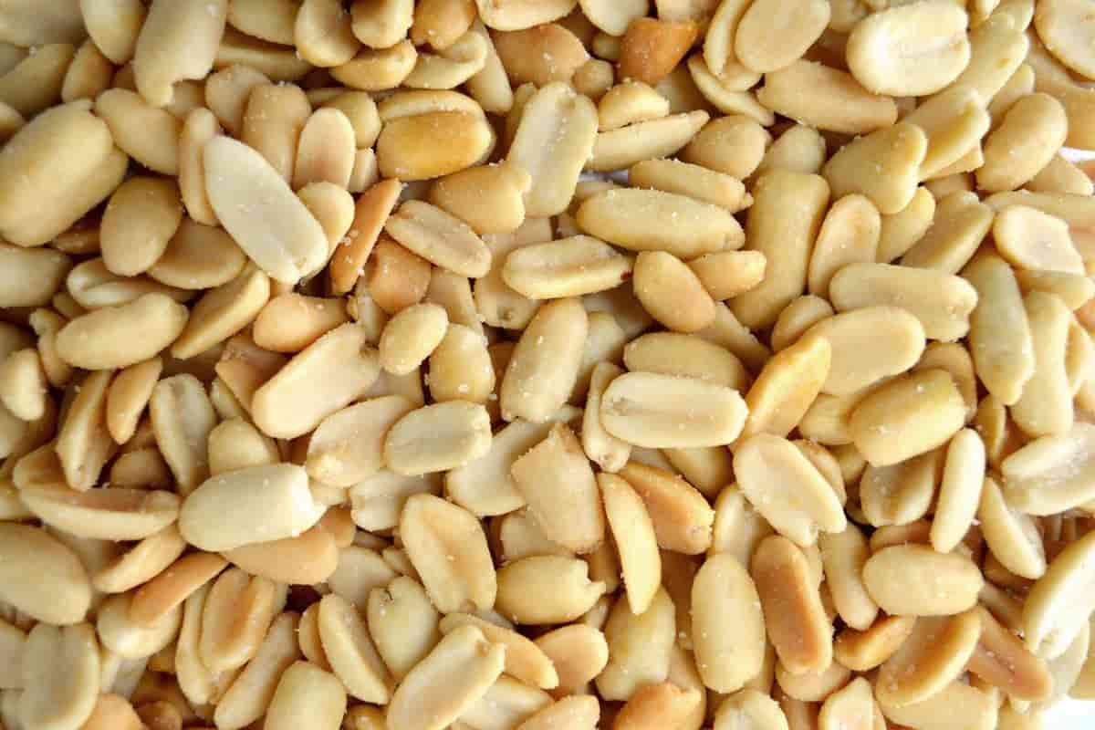 blanched peanuts wholesale bulk