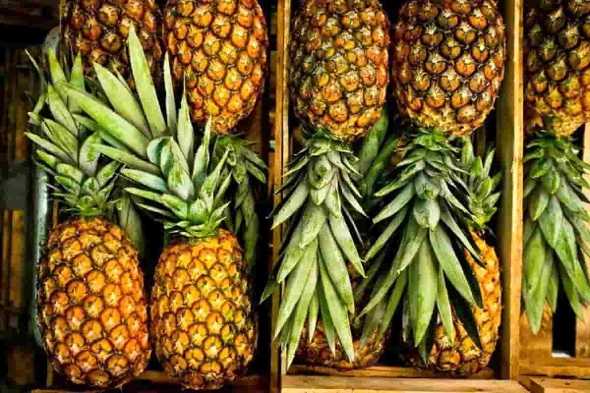 dried pineapple recipe