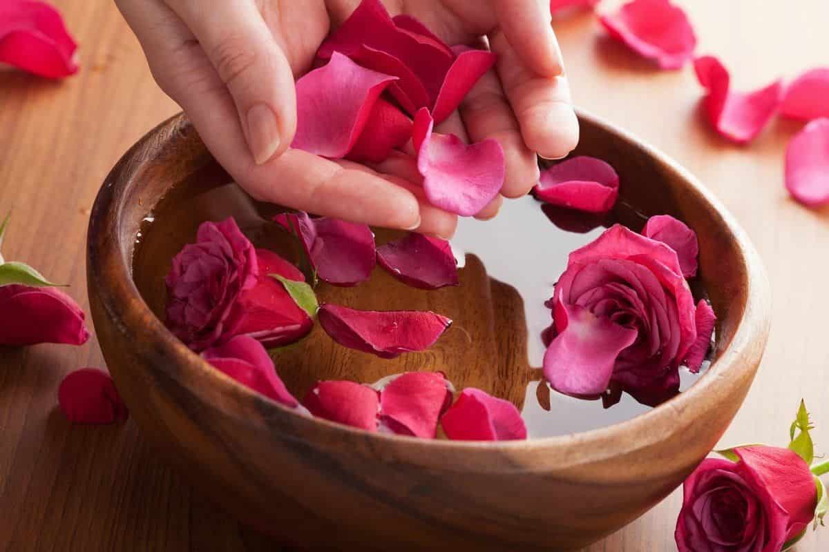 how to preserve rose petals