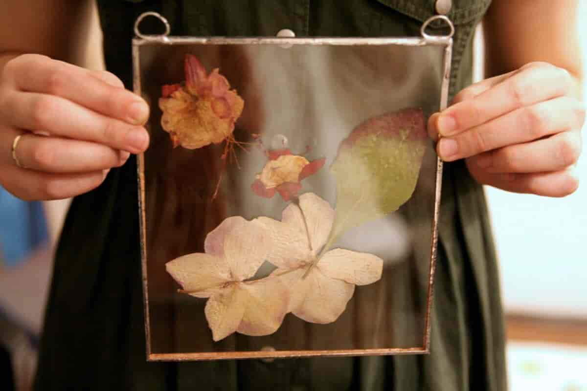 Pressed rose petals frame