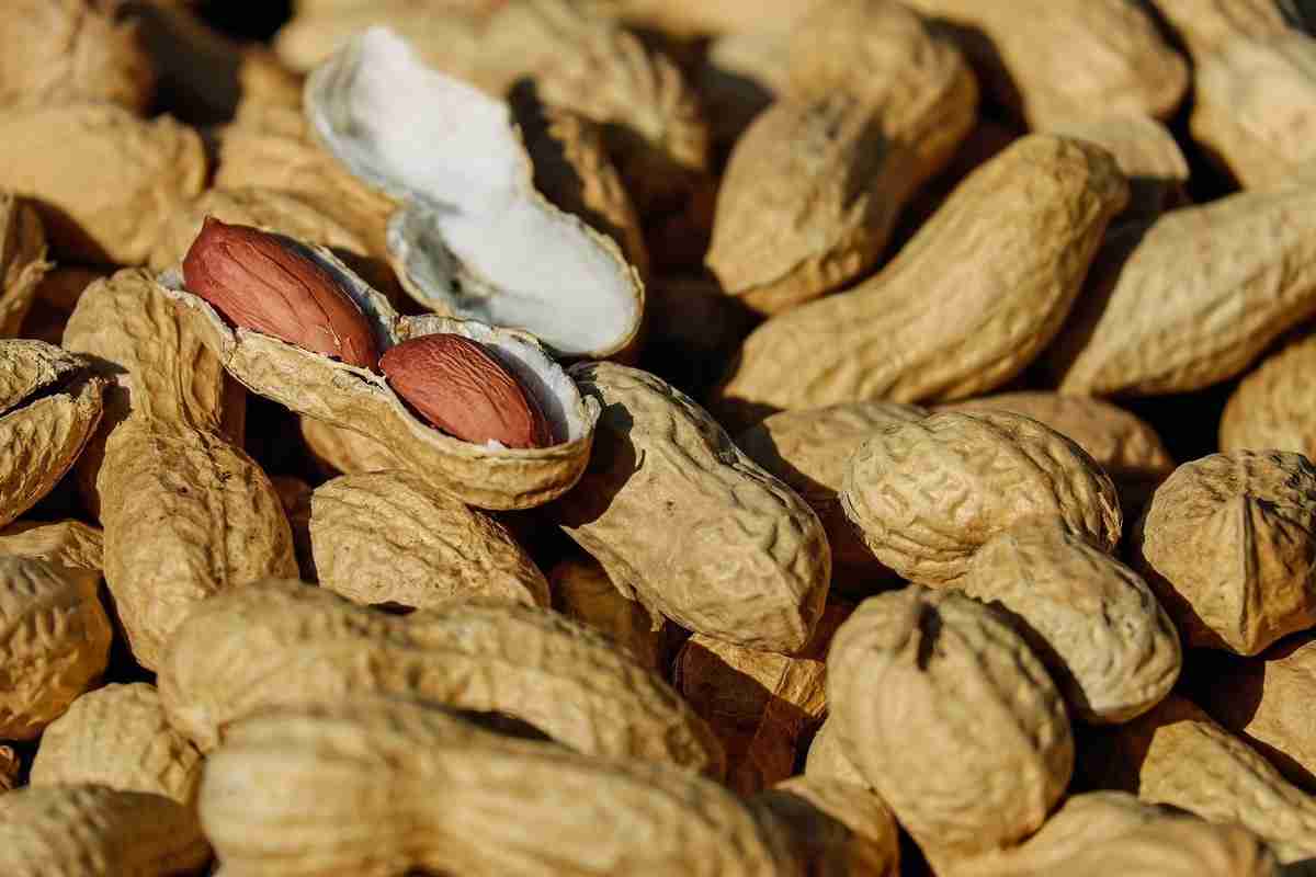 Red skin peanut allergy