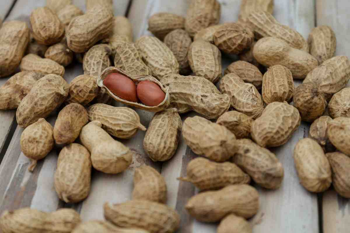 red skin peanuts rawred skin peanuts benefits