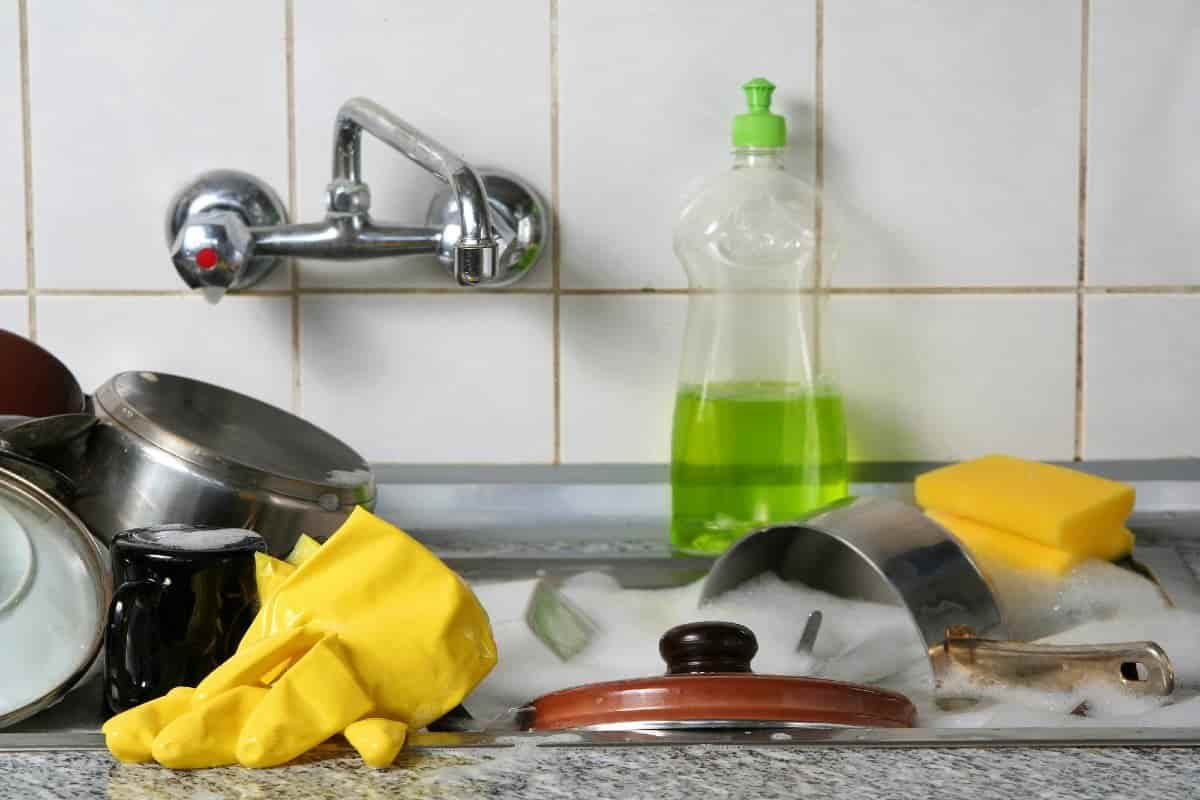 non toxic dishwashing liquid detergent