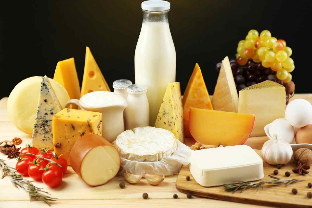 dairy product nutrition