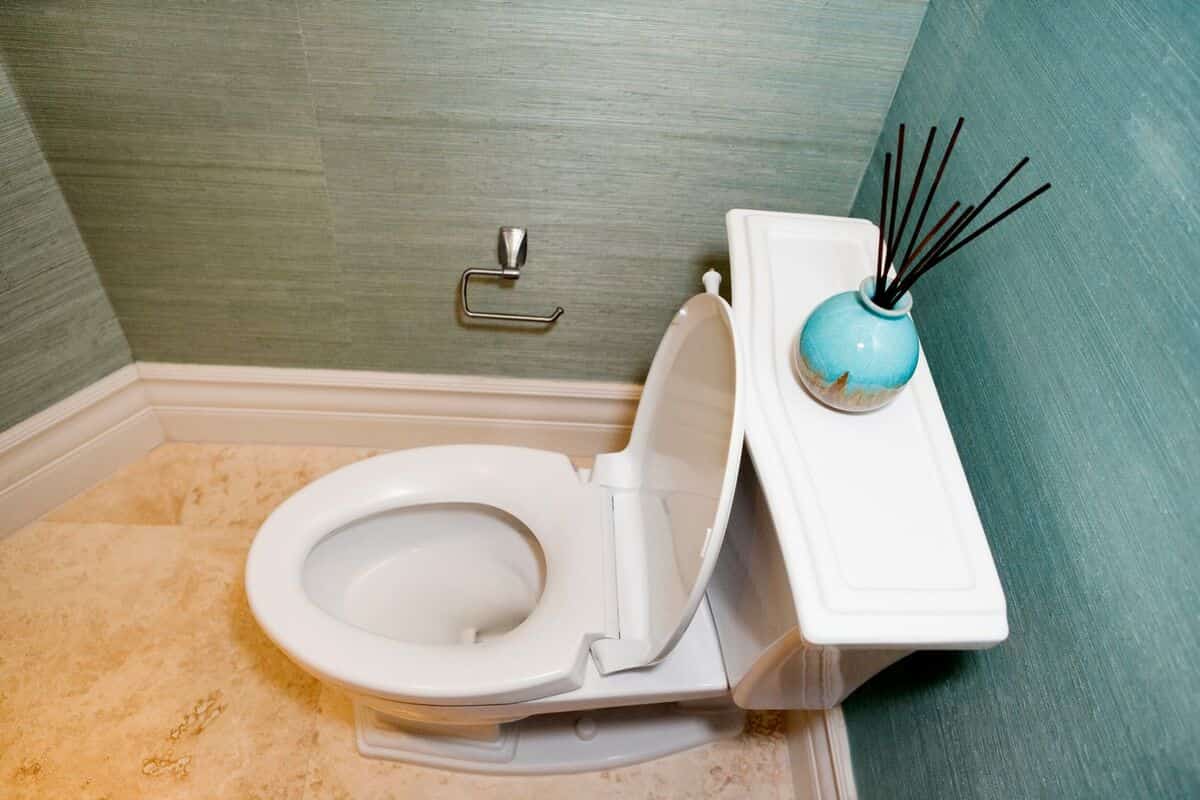 Close coupled toilet bowl features