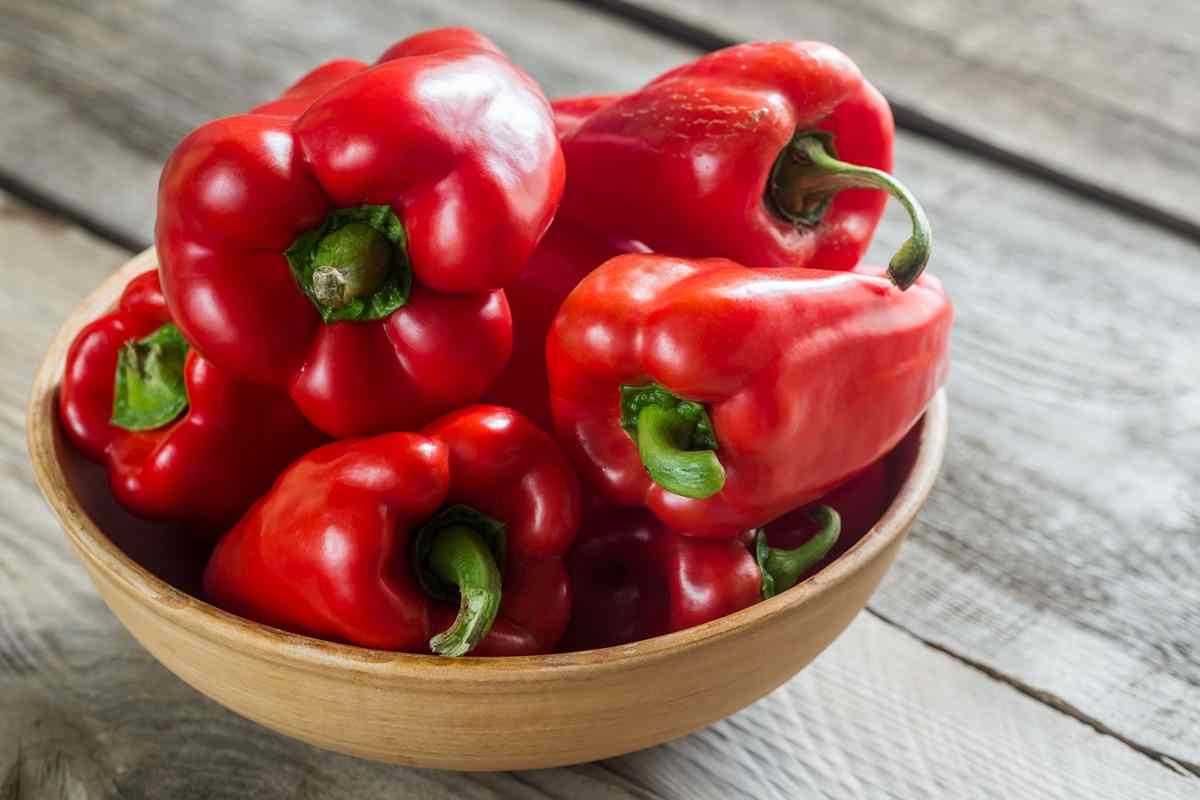 green bell pepper turning red