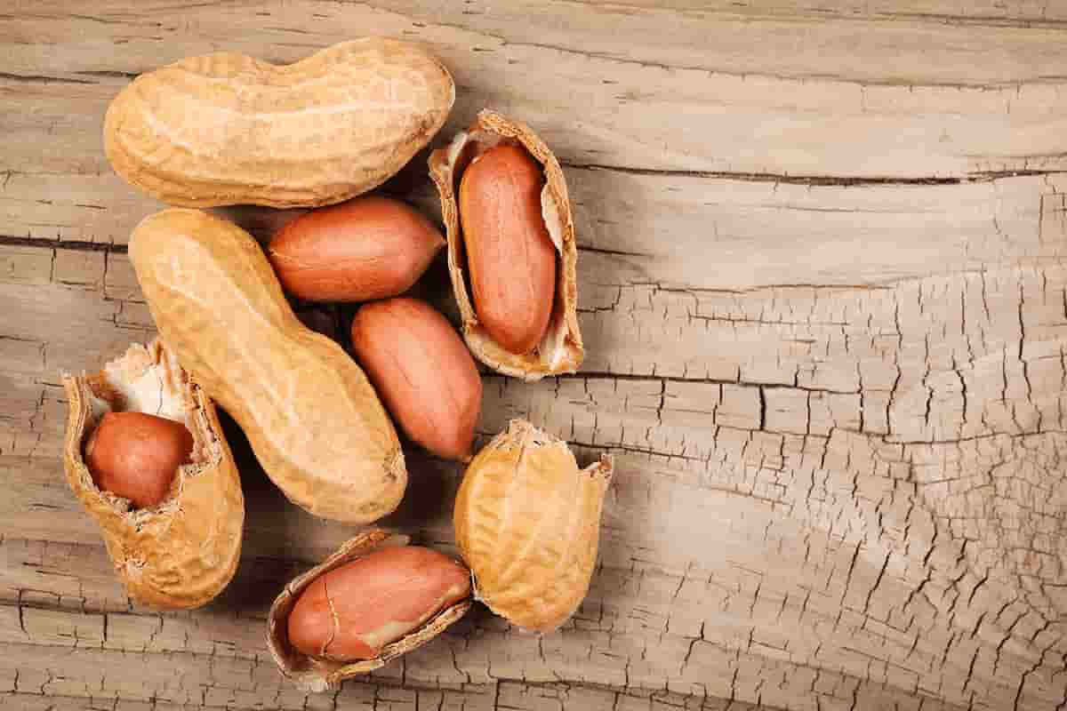 Red Skin Peanuts Nutrition