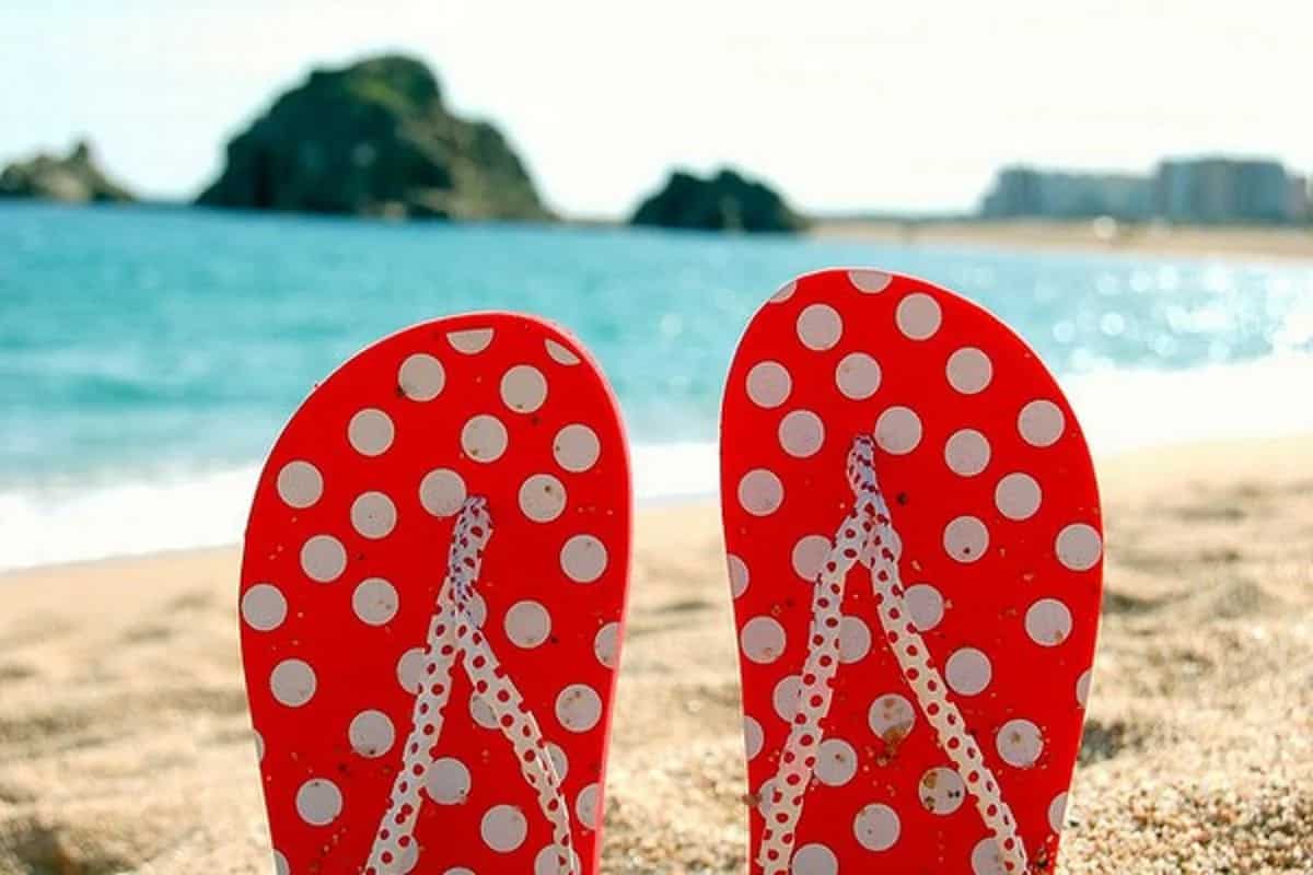 Plastic slippers companies which produce flip-flops for summer - Arad ...
