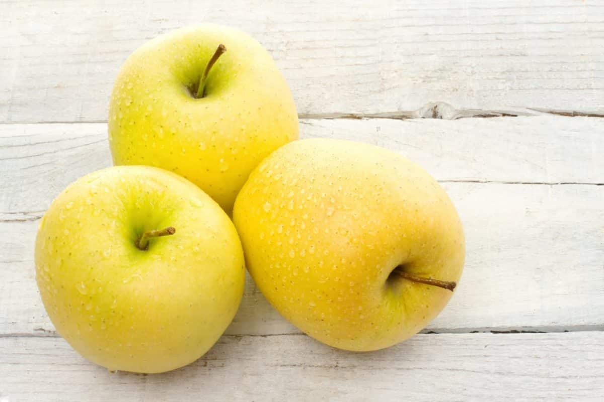 sweet yellow apple varieties