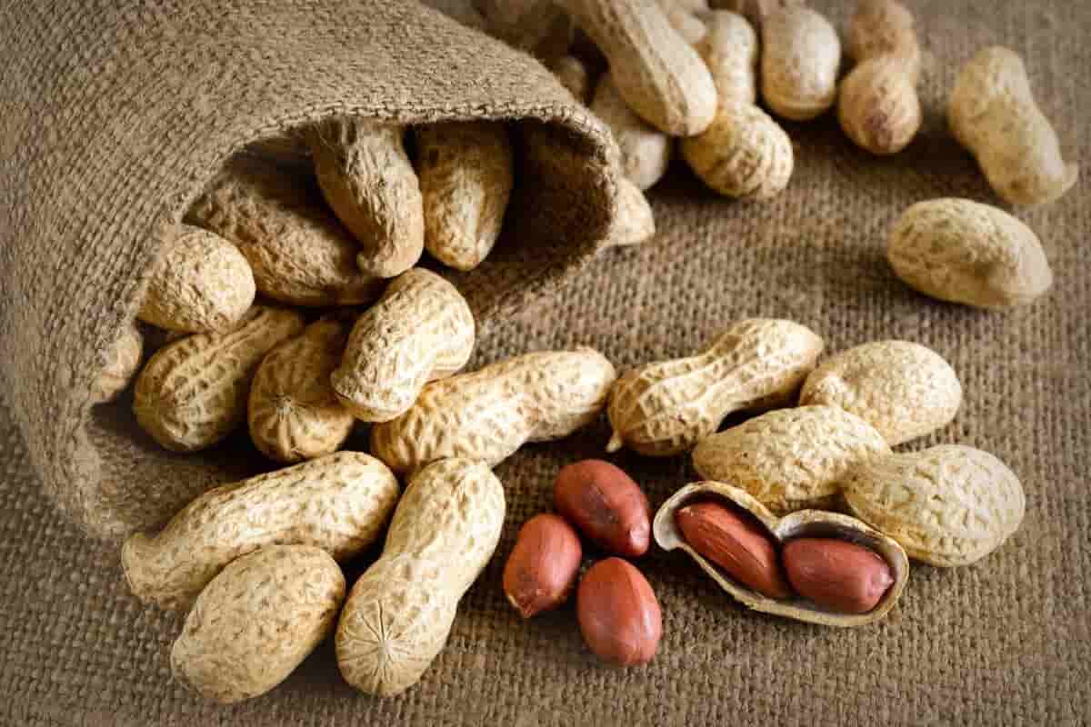raw red skin peanuts cost price