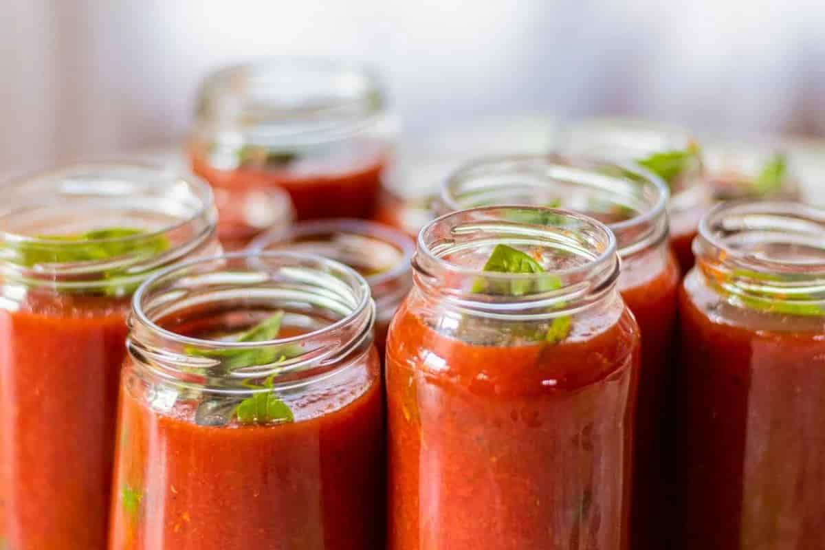 Canning tomato sauce recipe