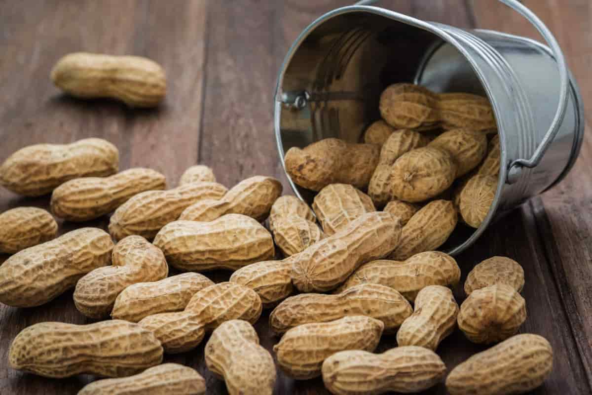 unsalted peanuts calores
