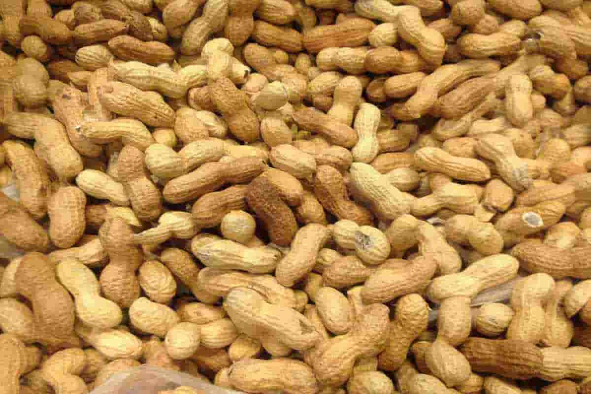 unsalted peanuts coles