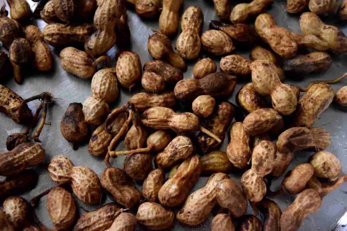 Blanched peanuts calories