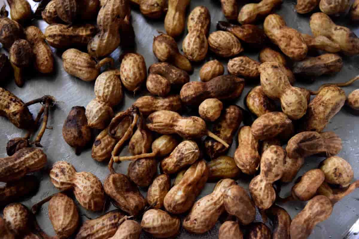 roasted red skin peanuts