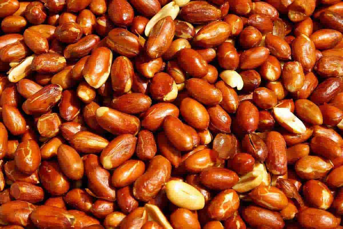 red skin peanuts for boiling
