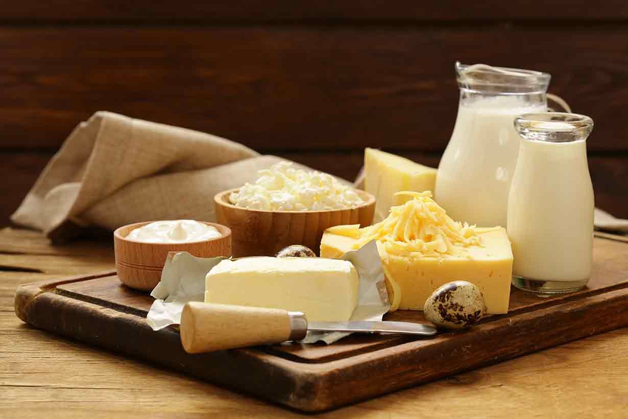 Dairy products value chain