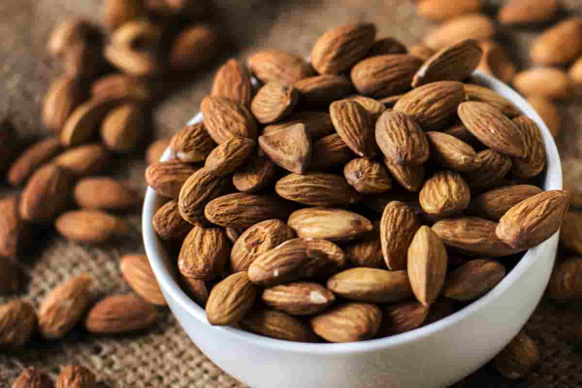 Maami almond price in India