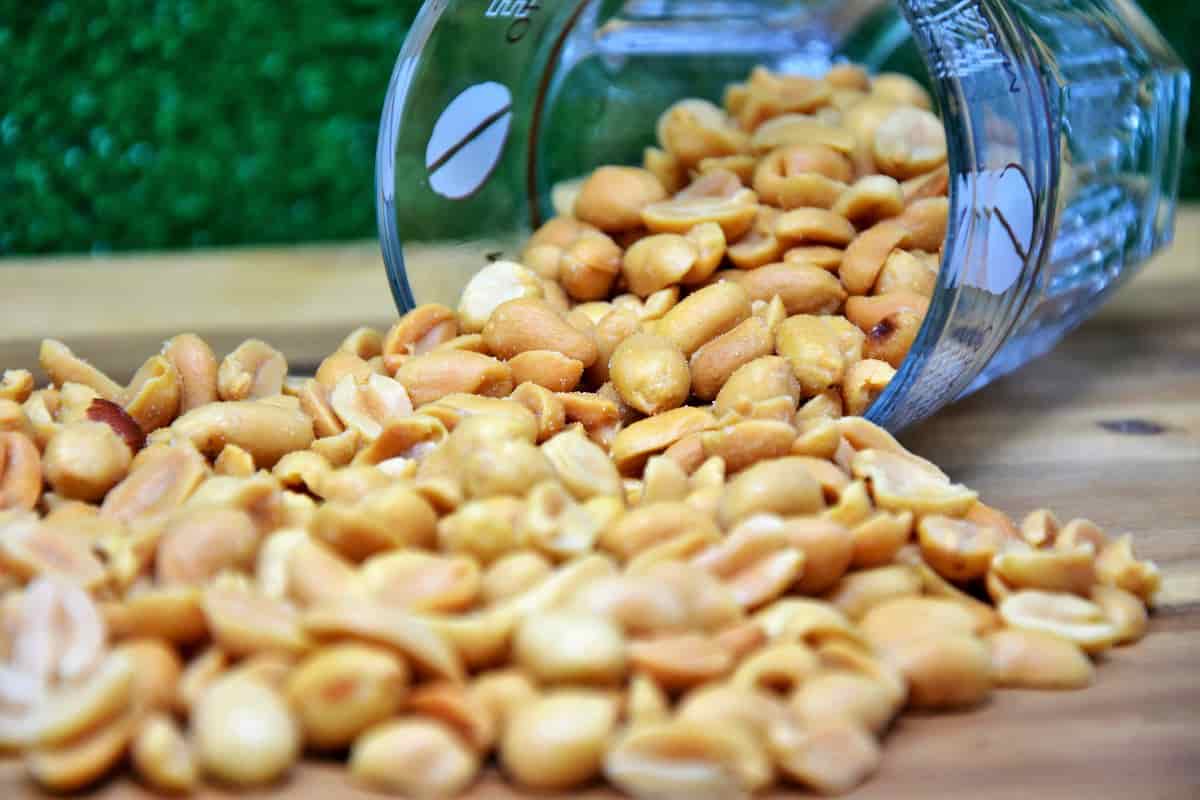 Peanut kernel oil