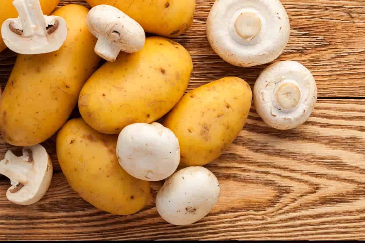 potato benefits for gym