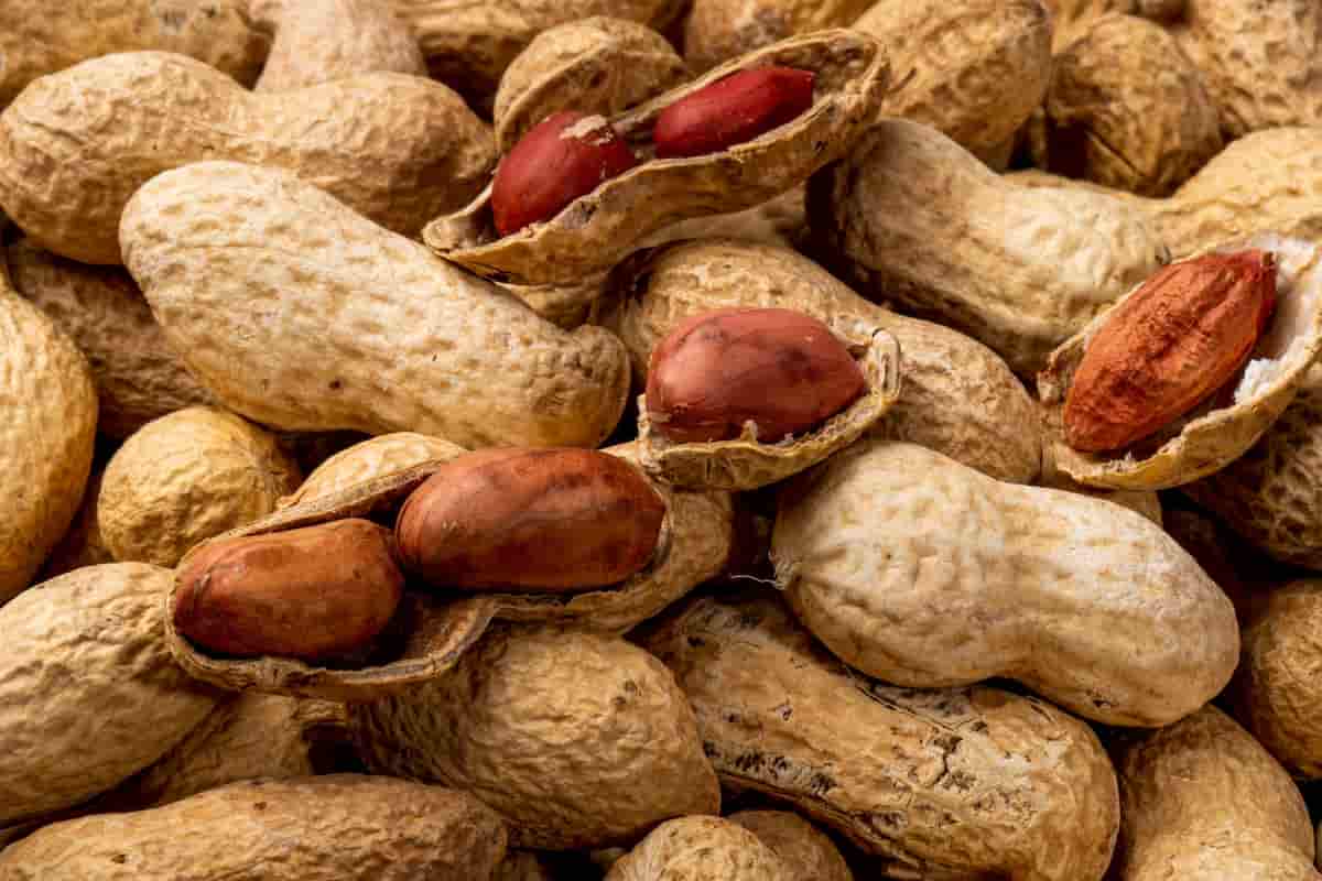 red skin peanuts nutrition
