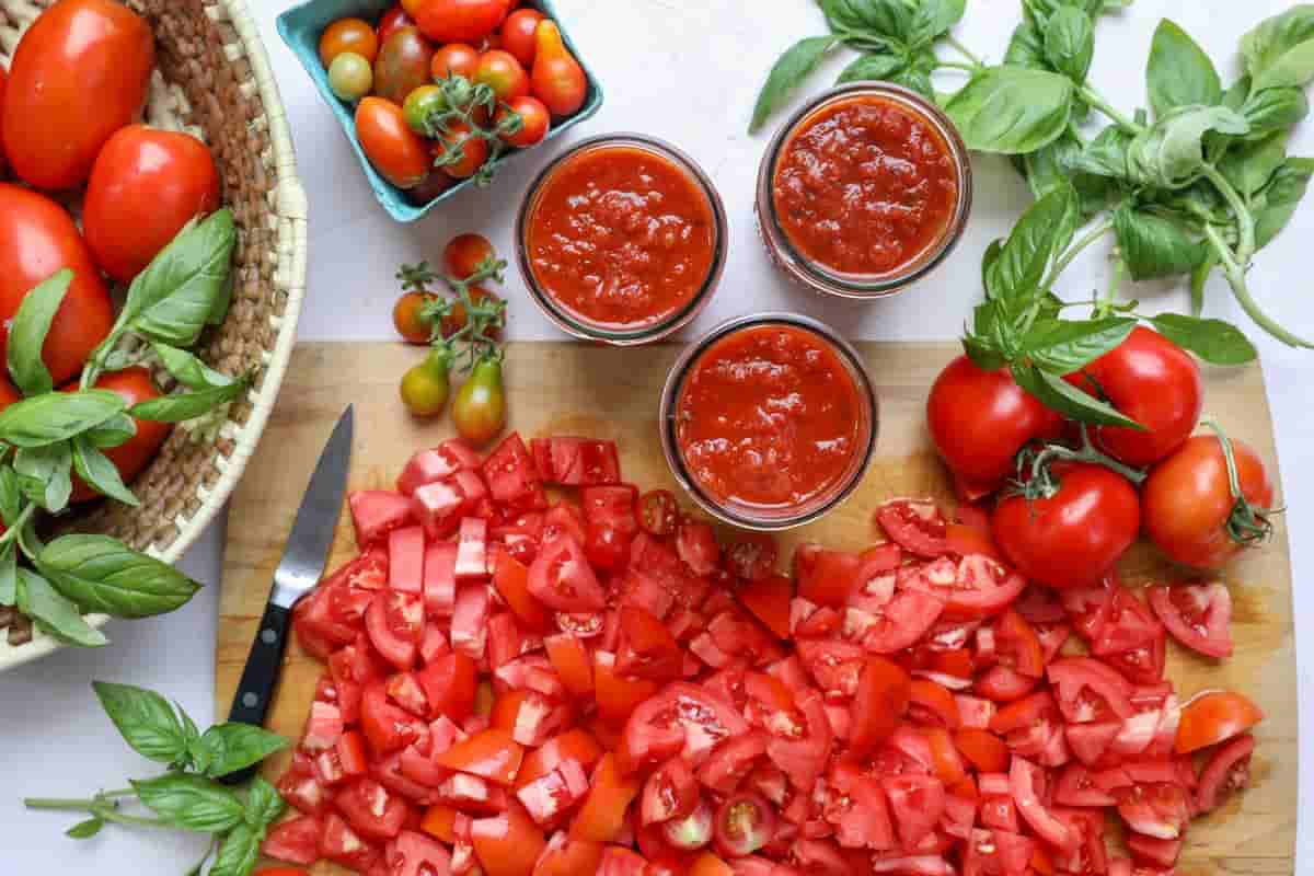 fermented tomato paste recipe