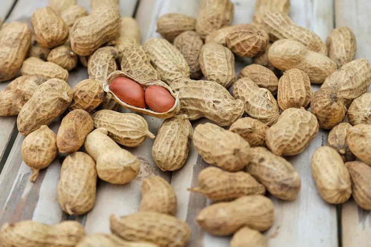 Red skin peanuts nutrition