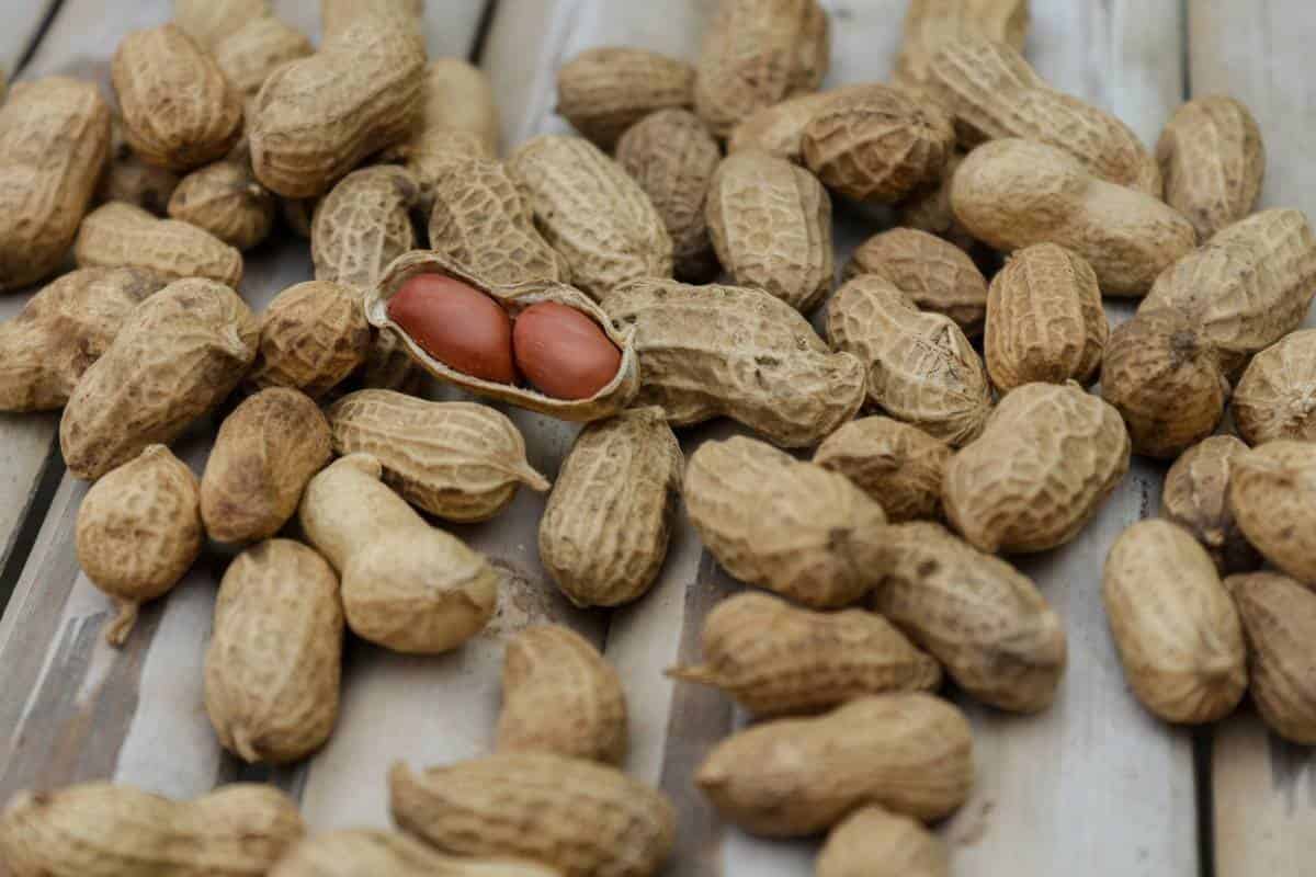 red skin peanuts