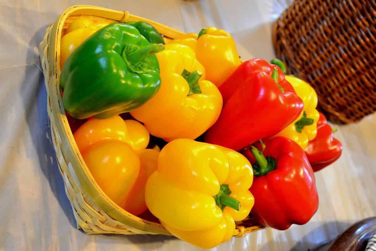 Bell pepper colors yellow