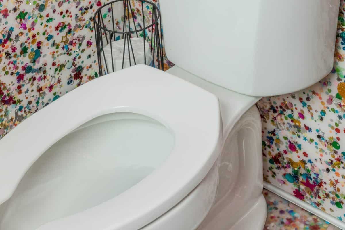 Kohler toilet bowl features