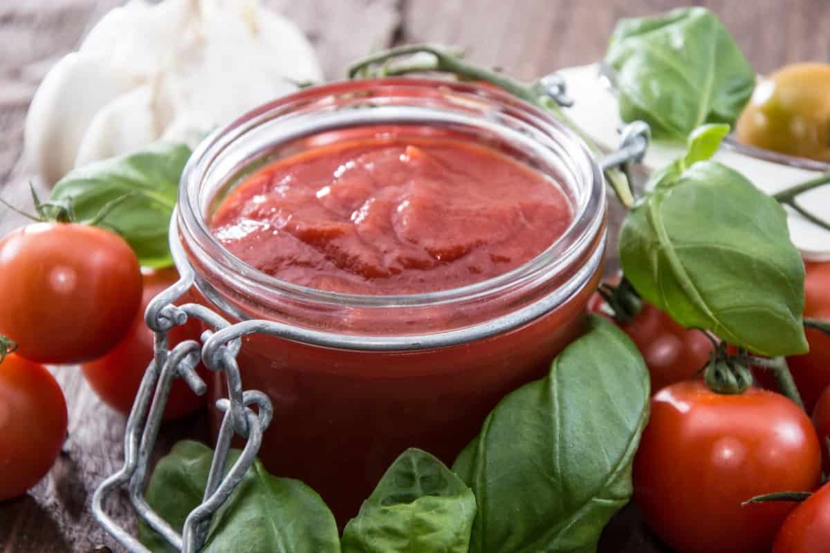 Italian tomato paste sauce