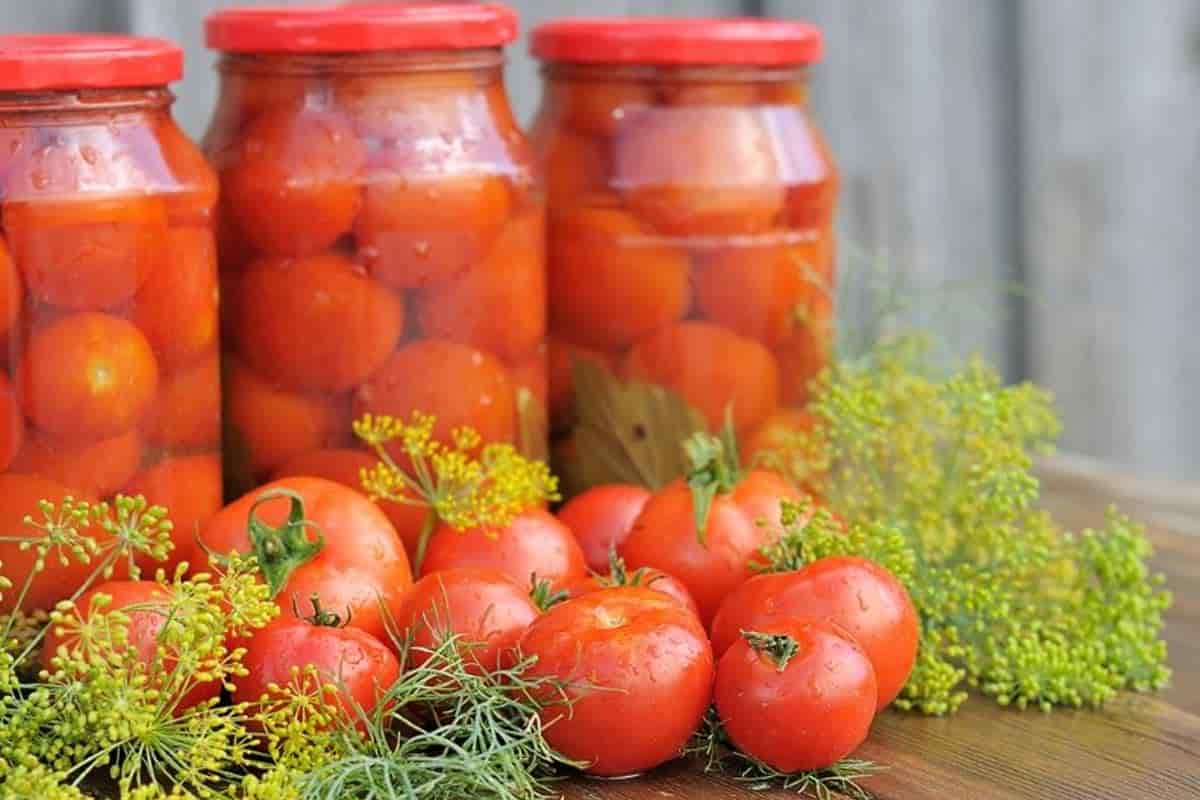 canned tomato sauce