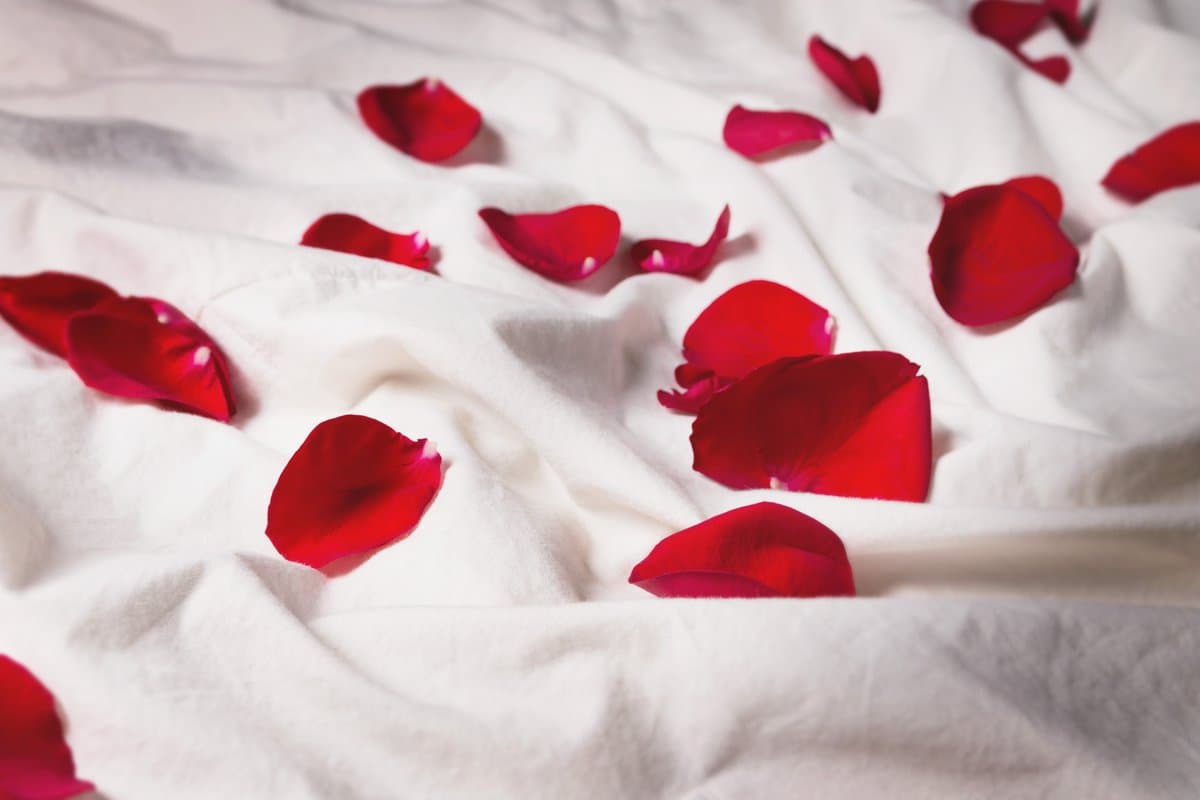 valentine rose petals for bed