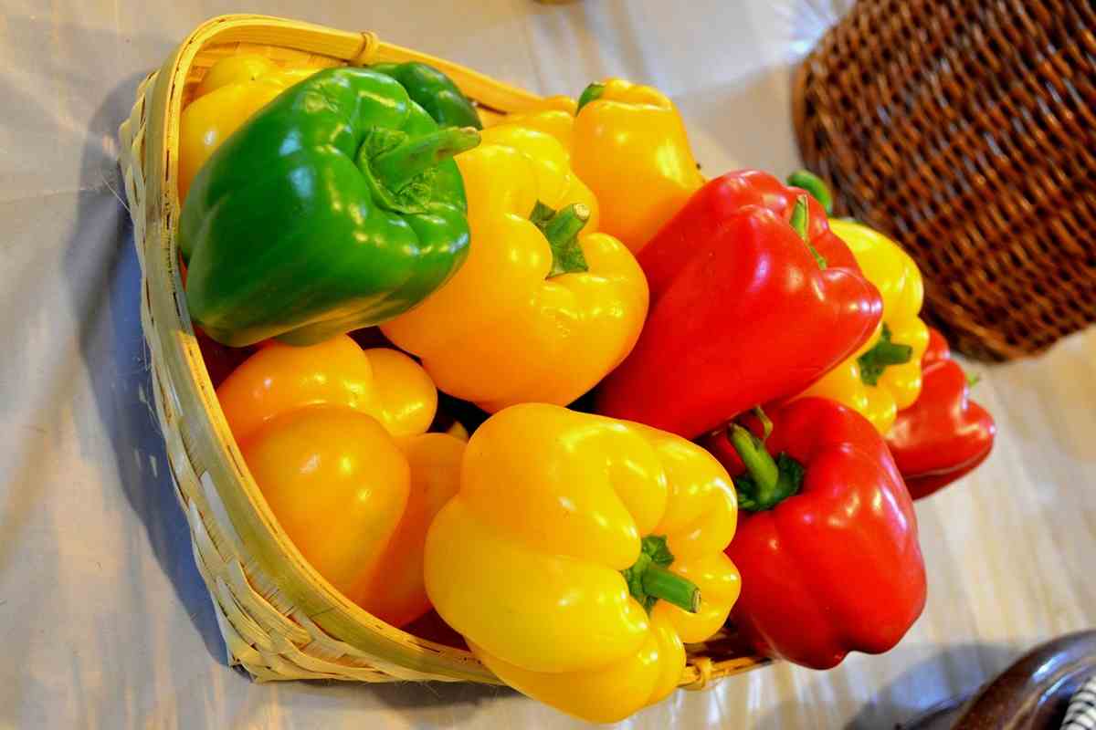 bell pepper calories whole
