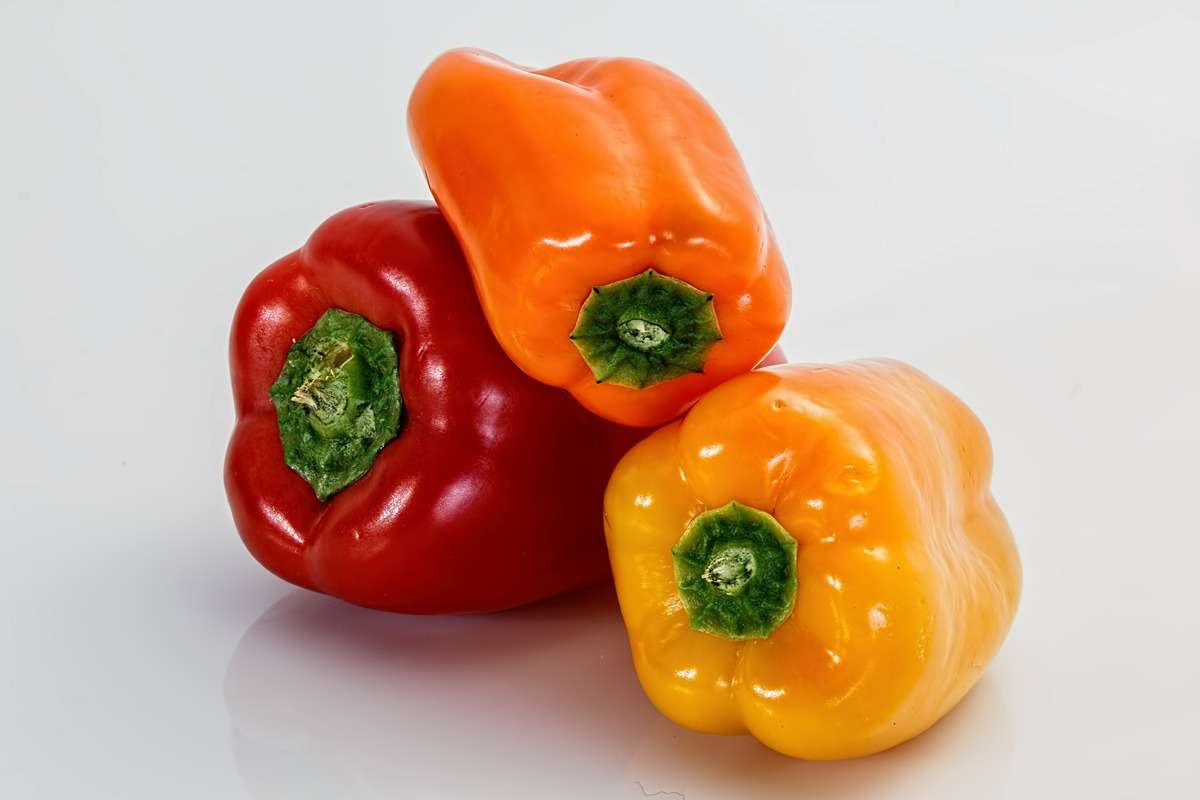 bell pepper 1kg price