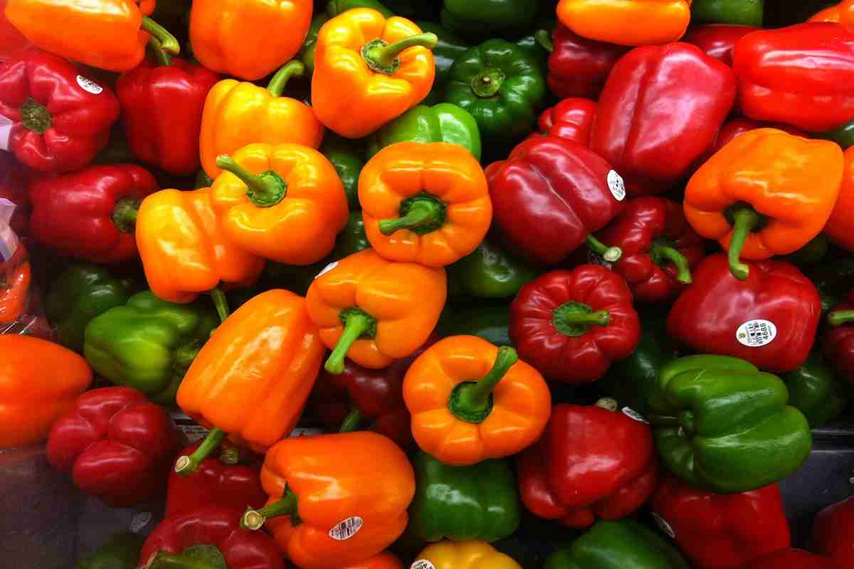 buy bell pepper at a reasonable price