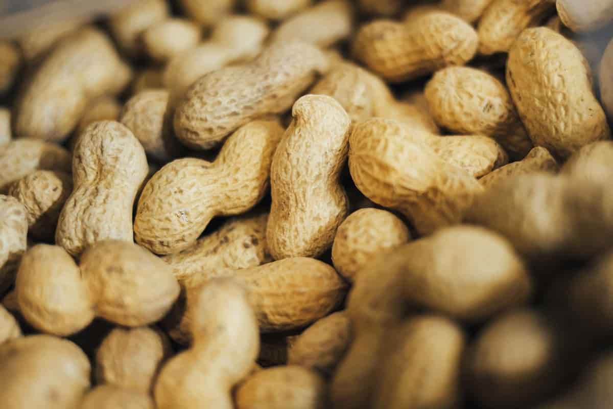 Red skin peanuts calories