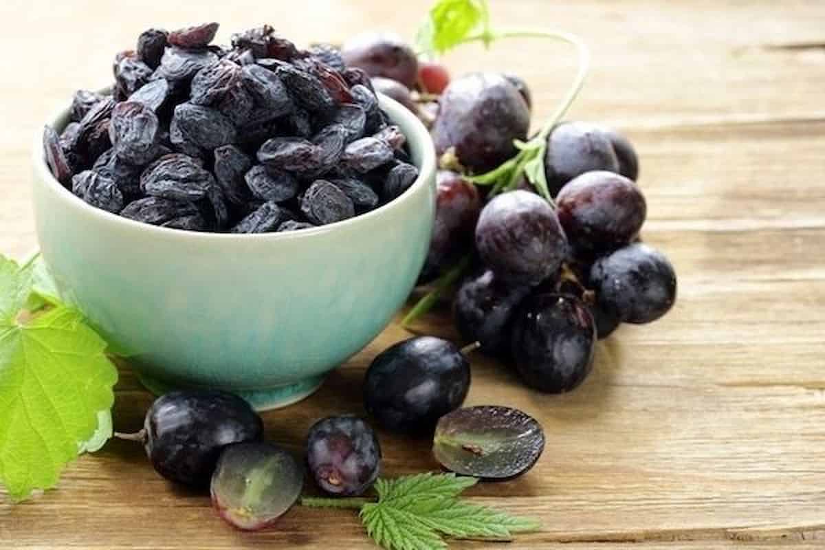 dried black raisins health benefits